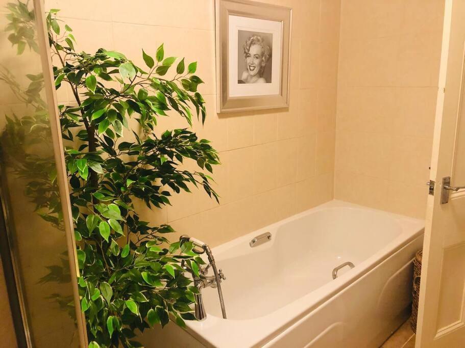 Ilkley Garden Suite 外观 照片